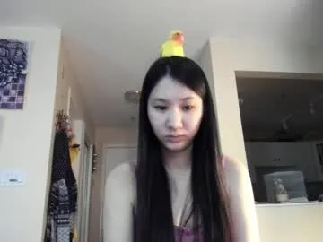 alizezaide — waifu reads chapter at goal  || #18 plus, World's most disappointing #asian, #mature personality, looks like a #teen [99 tokens remaining]