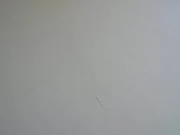 brad2717 — Cumshow in 5'