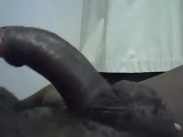 tyroneall — Whose holes can I breed? #bbc #bigdick #thickdick #bigballs #daddy