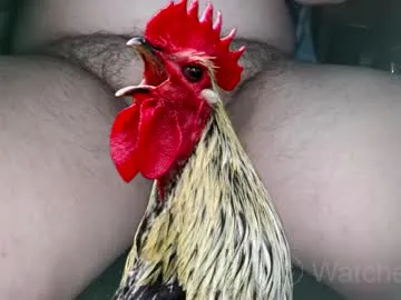 watcher_9 — Just showing my cock. Will cum when/if I see enough people watching. #penis #male #heterosexual #exhibitionist.