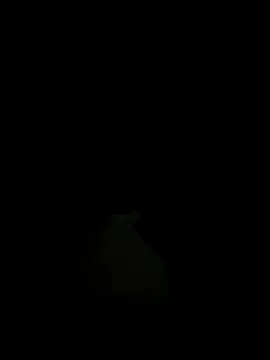 _Buny — Operarme
