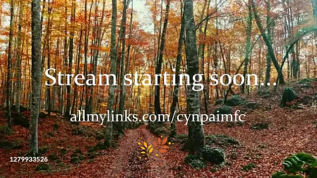 Cynpai — Gag Show