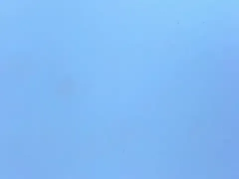 dirty_hornytransISA — GOLDEM SHOW