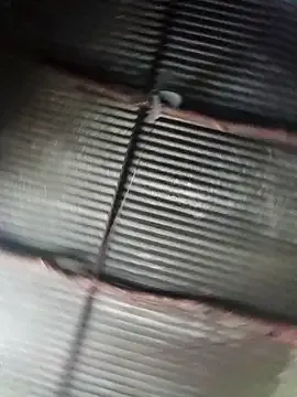 Haliya88 — show pussy