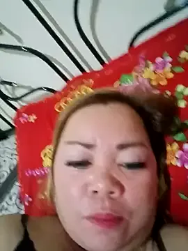 Hazel_20 — 500