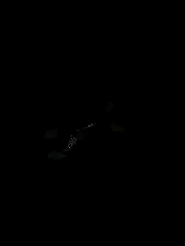Hottestgirll — New support me