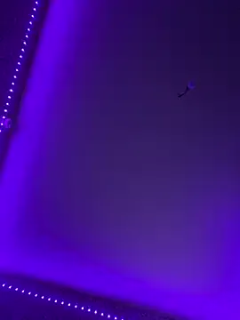 Leyla_rm — 100