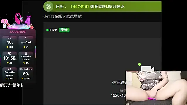 Mini1314 — Freechat on StripChat