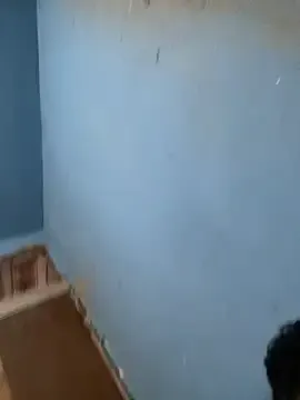 priscila_luv — bounce tits