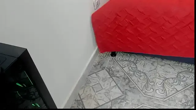 sofii_perverse — flash dick