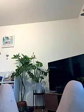 sukebegorilla — Freechat on StripChat