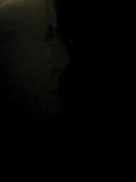 TusOjitosClaros69 — Lambida de pene 1min Dog