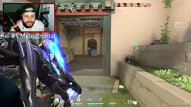 xDogZxX — 24 horas de live